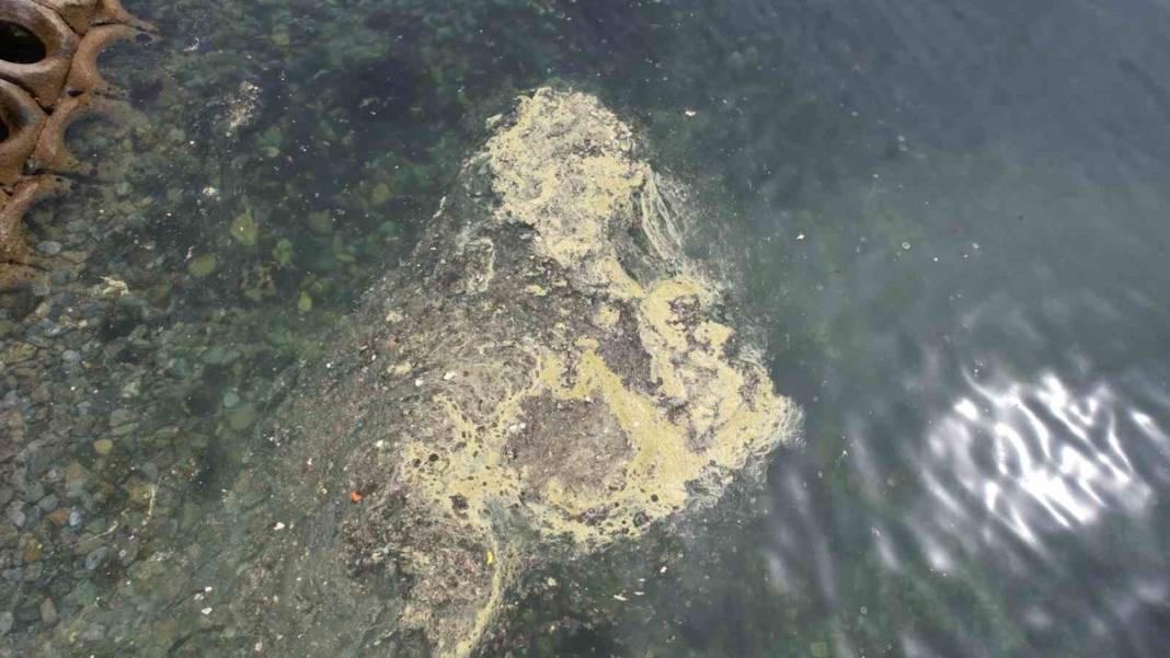 İstanbul'da bu semtleri terk edin! Uzman isim tarih verdi: Felaket üstüne felaket! 12